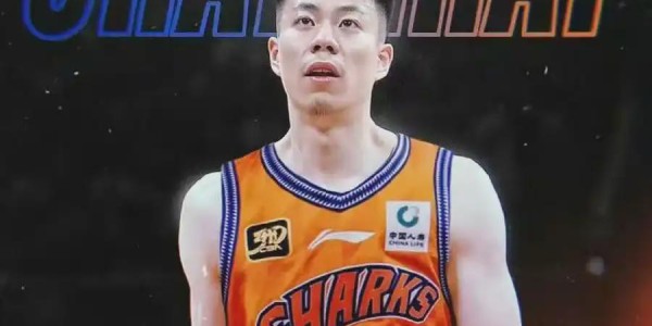 质押股权，卖主力，功勋老将心灰意冷退役，四冠辽宁男篮高峰陨落